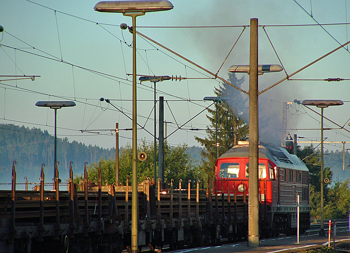 Dombhl  2007 L nach Aschaffenburg 