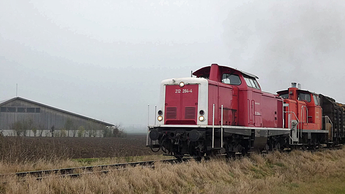 Rundholzzug am 25.11.2020 bei km 2,9