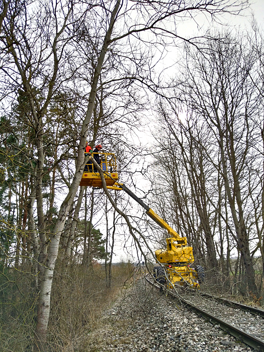 Hubbhne bei Greiselbach 25.2.21