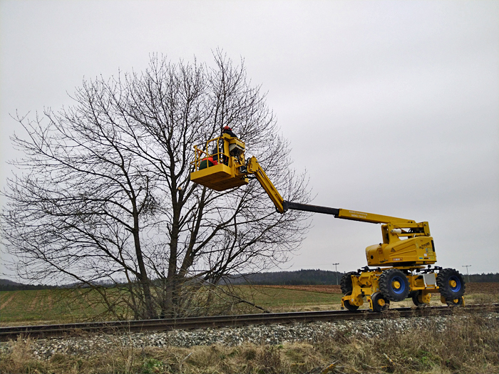 Hubbhne bei Greiselbach 25.2.21