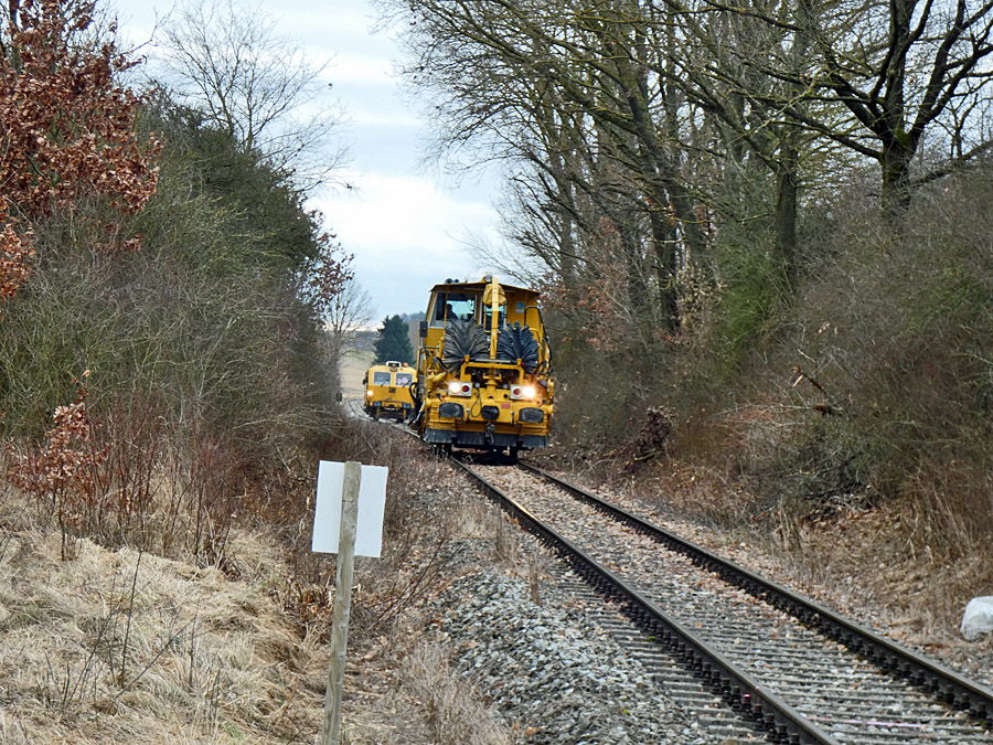 bei Bhlingen am 6.2.2024