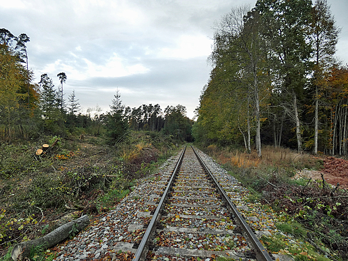 Fllungsarbeiten 21.10,2020 km 19,2