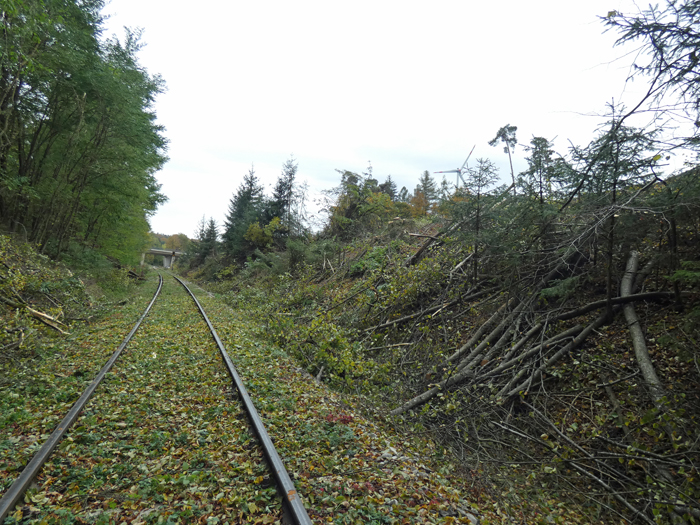 Fllungsarbeiten 21.10,2020 km 19,2