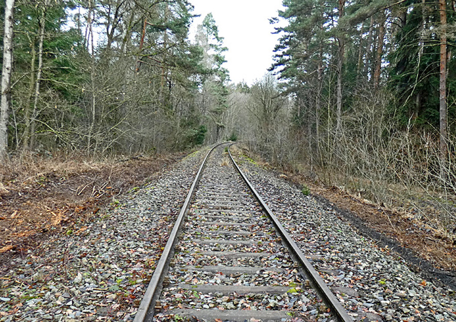 Steigungsstrecke Pfaffenholz nach Bearbeitung 2023