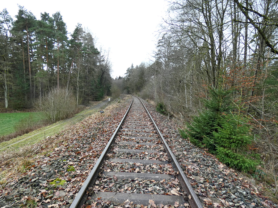 Bahndamm beim B im Pfaffenholz 2023