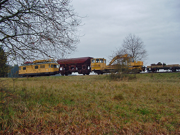 BEM-Arbeitseinsatz 10.11.12 Kaltenbronnrt Damm