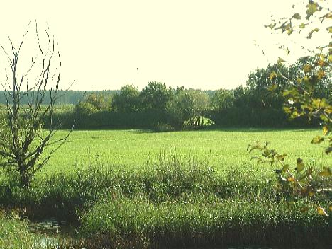 Hochwasserdurchlass Bahndamm Kleinried 2011