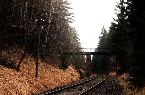 Brcke im Pfaffenholz  * Aufn. 2000