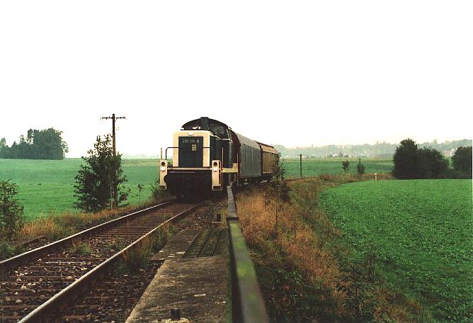 Brcke bei Kaltenbronn 4.10.1995