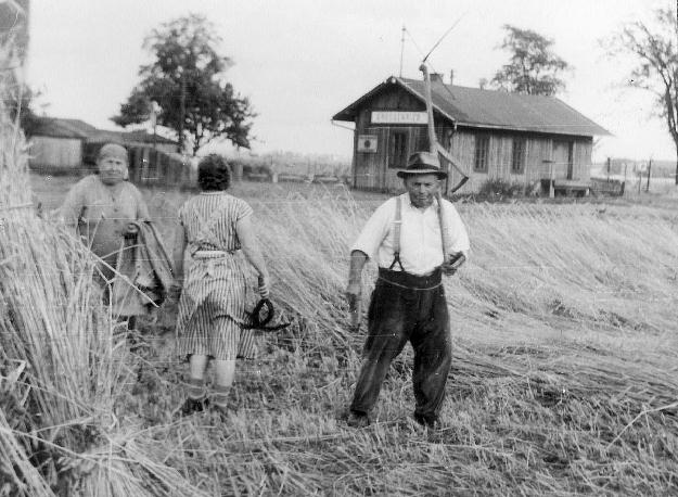 Auf dem Feld Grovater Wei