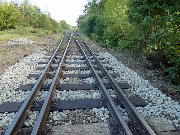 Bhf Wilburgstetten Auswechseln von Schwellen 2020