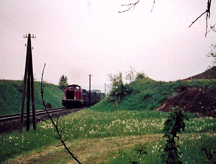 V 100 bei Deuenbach 1988