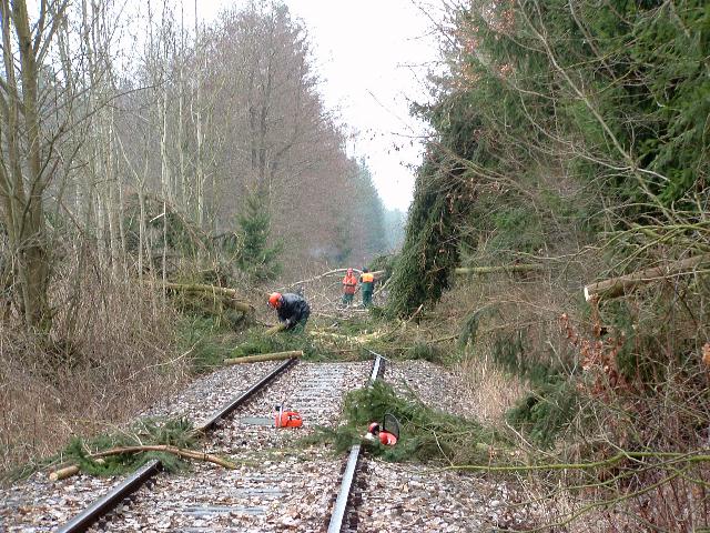 8. Mrz 2008 bei Kaltenbronn